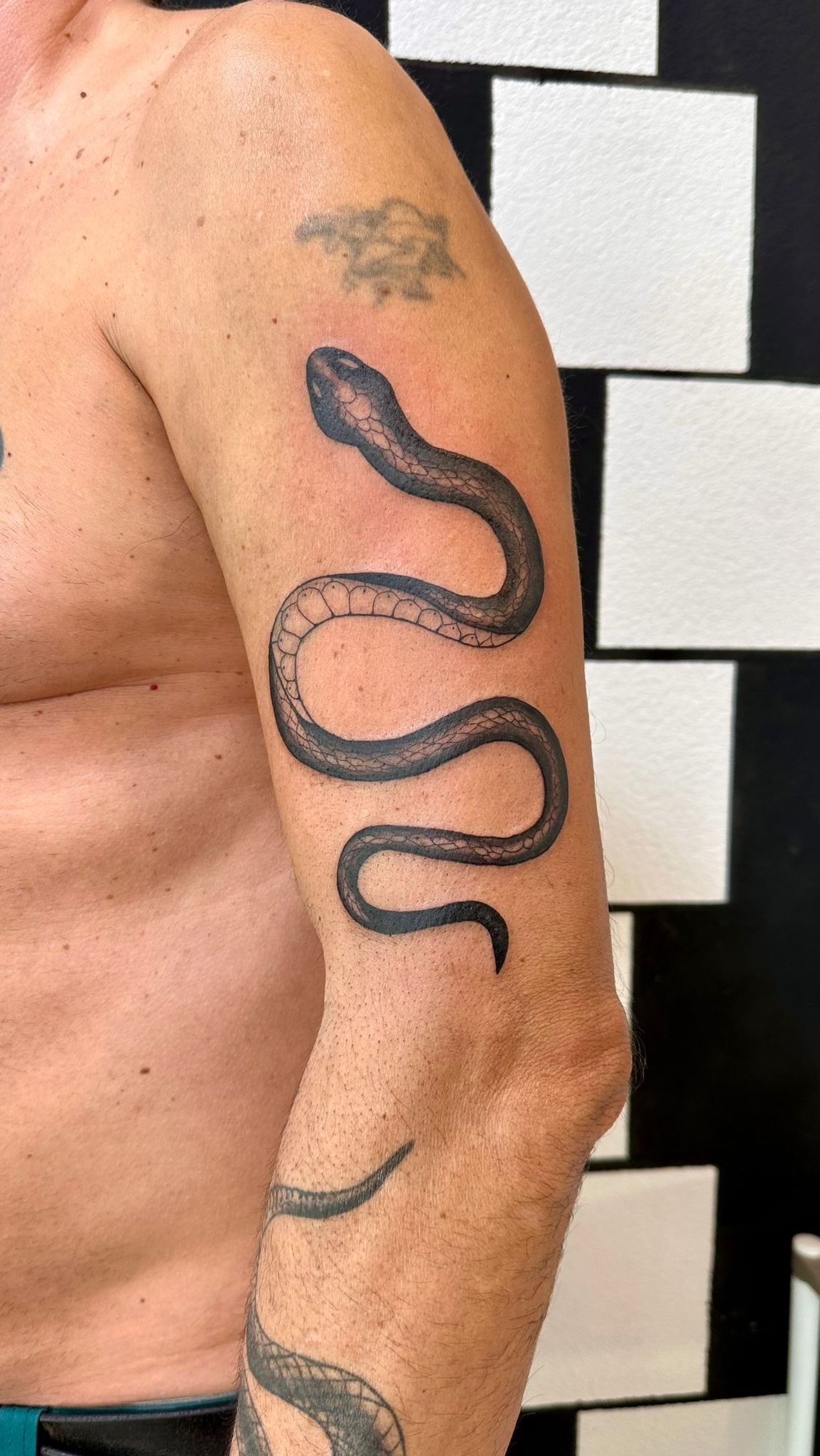 Serpente